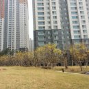 이편한세상1단지 경로당 이미지