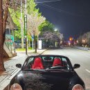 터미널세차장 이미지