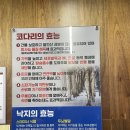 황제코다리 | 대구 방촌동 퀸벨호텔 근처 코다리맛집 황제낙지 솔직후기