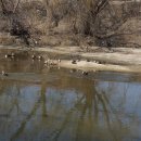 송우리터미널 버스정류장(40115) | 경기옛길- 경흥길 제4길 파발막길(소흘읍행정복지센터~포천시외버스터미널)