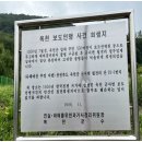 성왕로 옥천-12 이미지