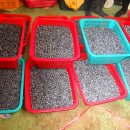 구천농장 이미지