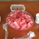 복중농장 Daum카페