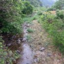 강원토지공인중개사사무소 이미지