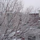 산성초교 이미지