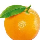 오렌지 이미지