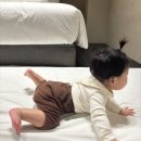 신전떡볶이(기장점) 이미지