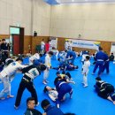 팀타이런트 유도 이미지