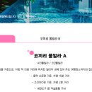 클락 코끼리 투어