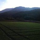 성균농장 이미지