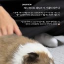 레디에이트(RADIATE) 이미지