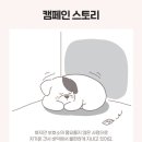 개좋다냥 이미지