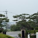 솔리(구 서일농원) | 일죽 카페 서일농원 솔리 자운 솔직후기