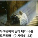 포낙보청기평택센터 이미지