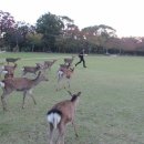 진격농장 이미지