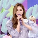 하이터치라이브