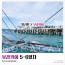 밥집김스방 | 보라카이 자유여행 ⑫ :: 5-6일차, 우리 집가게 해주세요...