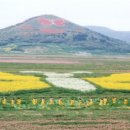 나비부화장 이미지