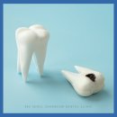 365서울차오름치과의원 이미지