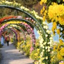 국화어린이공원 이미지