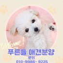 푸른들 동물병원 이미지