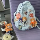 (주)애사랑 | 명절도 아닌데 시댁을 갔다왔어 시댁3일생존기 ~ 우타프리 ASSHC 현지참전 후기 ~