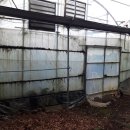 남진농장 이미지