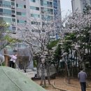 대궐암소갈비