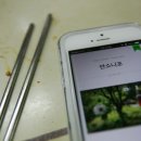 신호돌감자탕 이미지