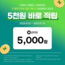 포인트안경콘택트 이미지