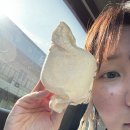 이담외과의원 | 돌아온 호야의 안면골절 이야기