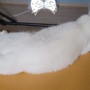 동물병원 누리에뜰 이미지