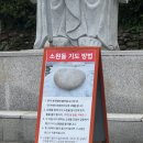 가교리 무교앞 화장실 | 청주 용호사 소원돌 진짜 안 들릴까? 솔직 후기(행운거북이, 일일 점찰, 소원돌)