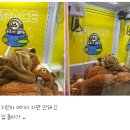 비상 미남 발견