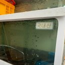 풍천공인중개사사무소 이미지