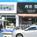 커트&컷 - 강서구 송정로 19 | 커트&컷