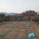 동미농장 이미지