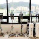 에이스미용실 - 동해시 이원길 182 | 에이스미용실