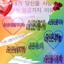태양떡집 - 경주시 북문로47번길 30 | 태양떡집