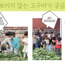 무석 농장 네이버블로그