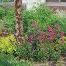 우리조경 이미지