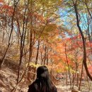 포천 가볼 만한 곳, 명성산 등산 코스-억새밭부터 단풍 절경,등룡폭포까지!