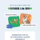 펫츠런 이미지