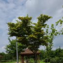 운암지 체육공원
