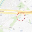 매머드익스프레스양재일동제약점