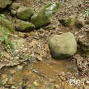 수영강 관리사무소 이미지