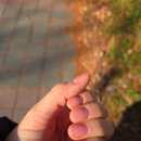 네일;수윤