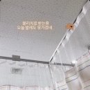 권태우정형외과의원 네이버블로그