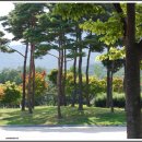 도보: 금정문화회관~선동마을~두구동 연꽃소류지~금정체육공원 이미지
