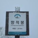 23년 2월(덕유산) 정기산행 이미지